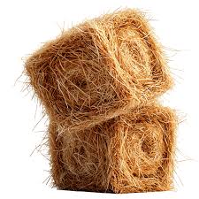 coir-fiber.jpg