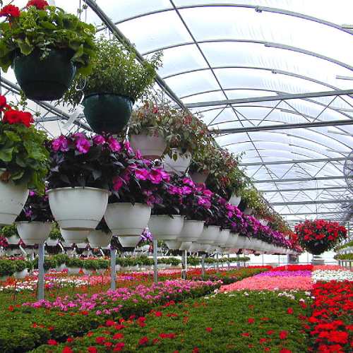 garden1.jpg