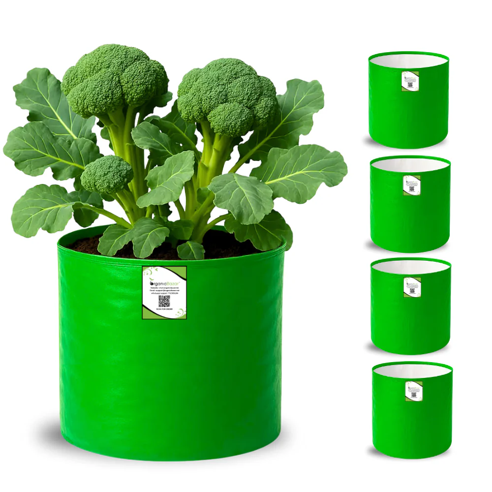 grow_bags_12x15_inch_pack_of_5_grow_bags_12x15_inch_grow_bags_plant_bags_planters_growth_bags_organic_bazar_green_grow_bags_hdpe_grow_bags_grow_bags_12x12_inch_grow_bags_15x15_inch.webp
